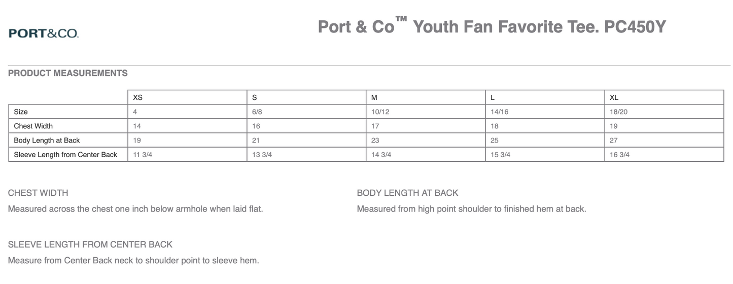 Star View | Youth Softstyle Tshirt